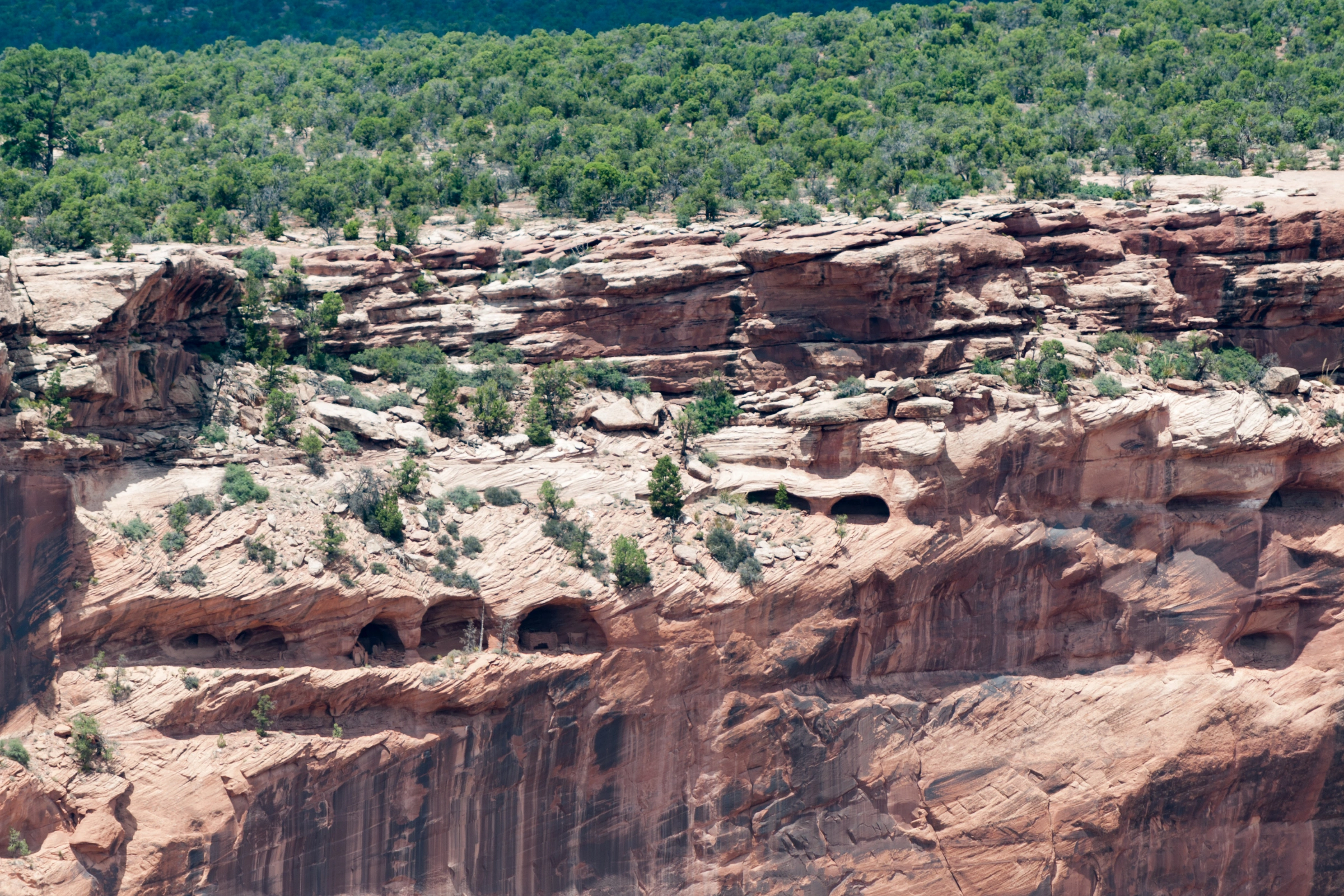 Canyon_de_Chelly_National_Monument,_Arizona[1].webp